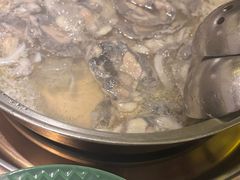 -润园四季椰子鸡火锅(南山海岸城店)