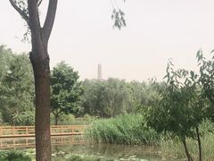 -北坞公园