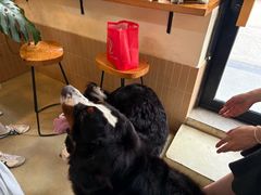 -小意思咖啡店(草桥店)