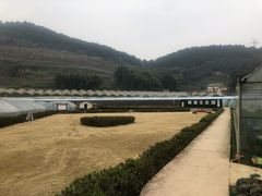 -普迪生态园