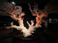 -台北故宫博物院