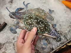 -卷心菜和避孕套餐厅(Pattaya)