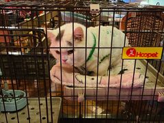 -动动咖啡清真西餐厅