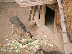 -祥源·阜阳生态乐园