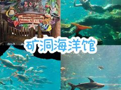 -长鹿旅游休博园