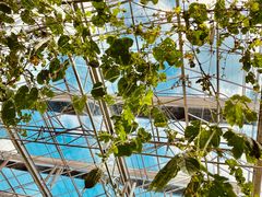 -迪茵湖田家舍生态农场