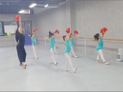 -舞蕾舞蹈(特长生校区)