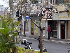 景观位-Alimentari早午餐(安福路店)