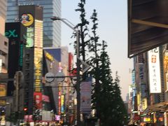 -秋叶原电器街