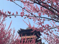 -杭州半山国家森林公园