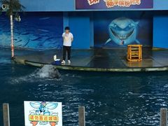 -苏州海洋馆
