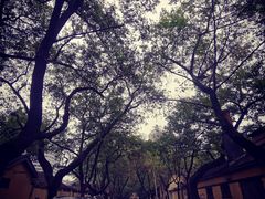 -颐和路民国时期公馆风貌区
