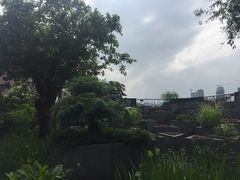 -广州神农草堂中医药博物馆