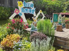 -广州白江湖森林公园