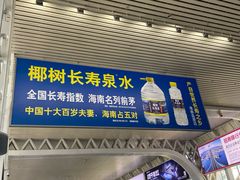 -海口东站