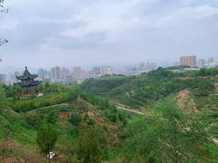 -金城公园