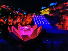-印象普陀