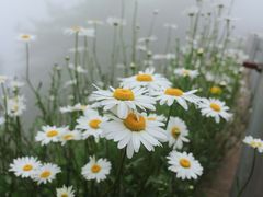 -瓦屋山景区