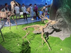 -安徽省地质博物馆