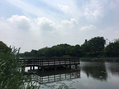 -新江湾城公园