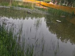 -仁和公园(顺义区)