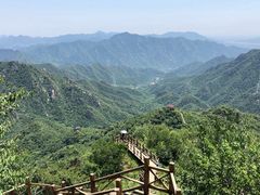 -大岭沟猕猴桃谷风景区
