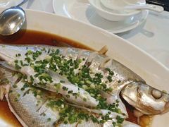 -同庆楼(滨湖万达广场店)