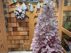 -MOCHA明星猫咖(田子坊店)