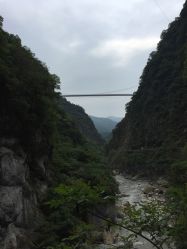 -美莱医疗美容医院