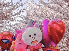 -高东镇樱花园