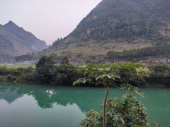 -长寿村