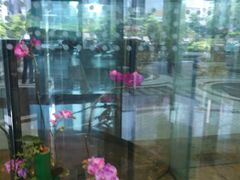 大堂-怡聚轩全日制自助餐厅(大中华喜来登酒店)
