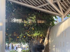 -大理老字号·舟渔的鱼野生菌海景餐厅(双廊店)