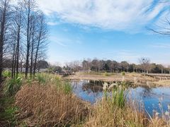 -贡湖湾湿地公园