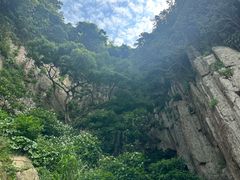 -花岙岛