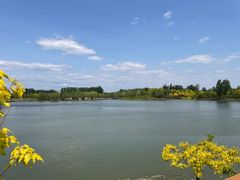 -东郊湿地公园
