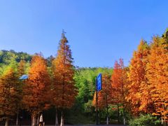 -南京市无想山景区