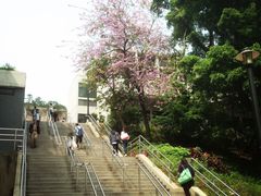 -大埔公路-马料水段香港中文大学(公交站)