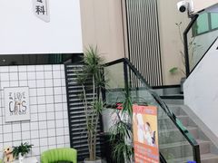 -半岛宠物医院24小时(科华中路店)