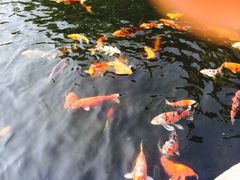 花园酒店-广州花园酒店