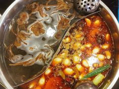 -青岛小羔羊火锅(李村公园店)