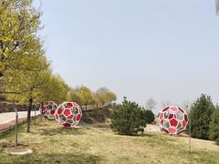 -密云玫瑰情园