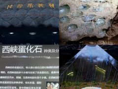 -中国西峡恐龙遗迹园