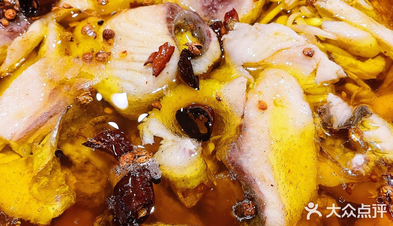 嗨起来，吃鱼类菜免费送鲜啤酒！