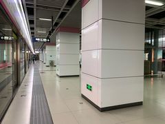 -王家墩东(地铁站)
