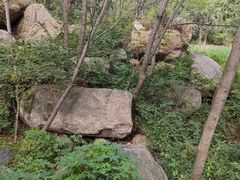 -大岭沟猕猴桃谷风景区