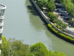 -新湖明珠城