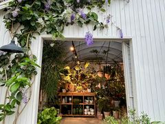 -自由生长植物工作室(深港花卉中心店)
