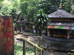 -莫里热带雨林景区