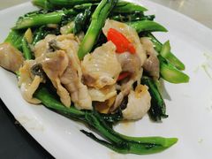 -港升鱼师傅·中山脆肉鲩